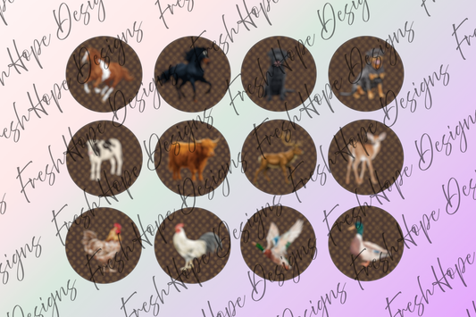 Designer Animal Cardstock